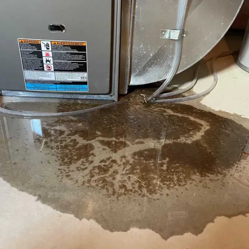 Appliance Leak Cleanup in Morehead, KY